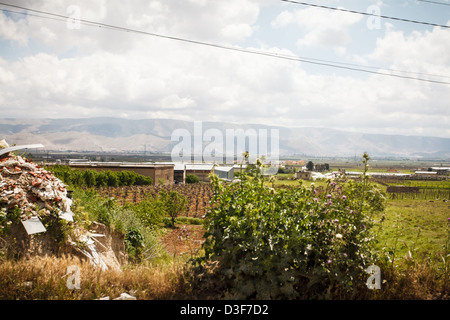 Vue côté rue de la vallée de la Bekaa, dans le nord du Liban. Cette région est parfois appelée le berceau de la civilisation. Banque D'Images