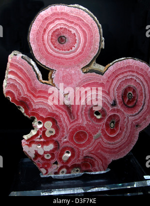 Rhodochrosite spécimen minéral de Mina Capapallitas, Province de Catamarca, Argentine. Banque D'Images