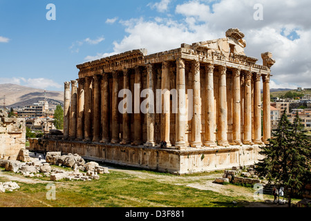 Ruines du temple de Vénus à Baalbek, au Liban. Partie de la ville antique Héliopolis dans la vallée de la Bekaa. Banque D'Images