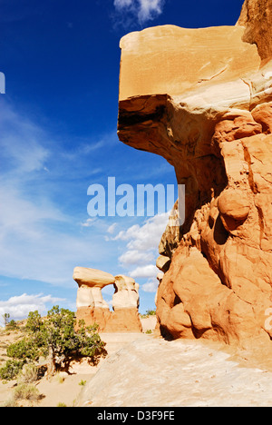 des hoodoos de forme étrange dans le (apparemment mal nommés) Jardin „Devils“ près du trou „dans la route Rock“ Du monument national Grand Staircase-Escalante Banque D'Images