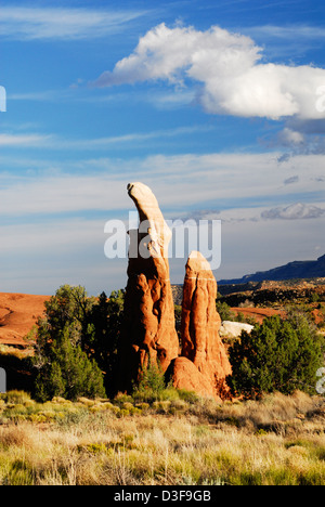 des hoodoos de forme étrange dans le (apparemment mal nommés) Jardin „Devils“ près du trou „dans la route Rock“ Du monument national Grand Staircase-Escalante Banque D'Images