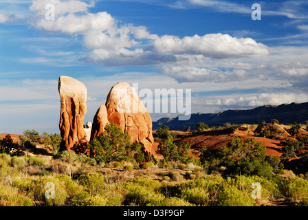 des hoodoos de forme étrange dans le (apparemment mal nommés) Jardin „Devils“ près du trou „dans la route Rock“ Du monument national Grand Staircase-Escalante Banque D'Images