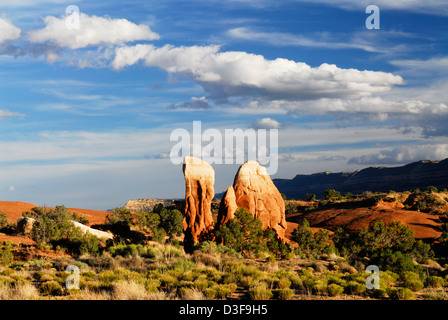 des hoodoos de forme étrange dans le (apparemment mal nommés) Jardin „Devils“ près du trou „dans la route Rock“ Du monument national Grand Staircase-Escalante Banque D'Images