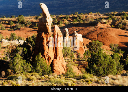 des hoodoos de forme étrange dans le (apparemment mal nommés) Jardin „Devils“ près du trou „dans la route Rock“ Du monument national Grand Staircase-Escalante Banque D'Images