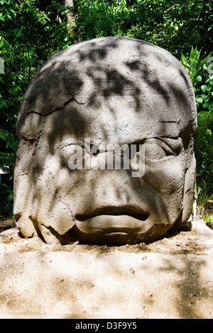 Tête Colossale Olmèque 4 Monument à la Venta. Villahermosa, Tabasco, Mexique Banque D'Images