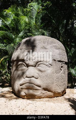 Tête Colossale Olmèque 1 Monument à la Venta. Villahermosa, Tabasco, Mexique Banque D'Images