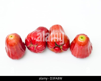 Syzygium jambos, pommes Rose Banque D'Images