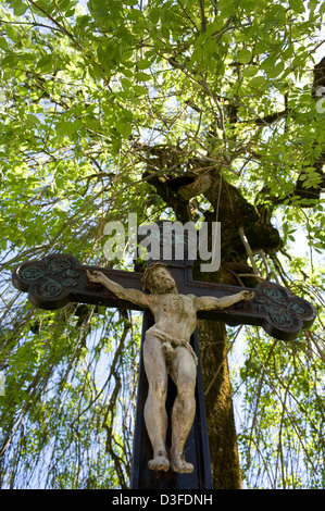 Missen, Allemagne, en face d'un arbre en bordure de voie Banque D'Images