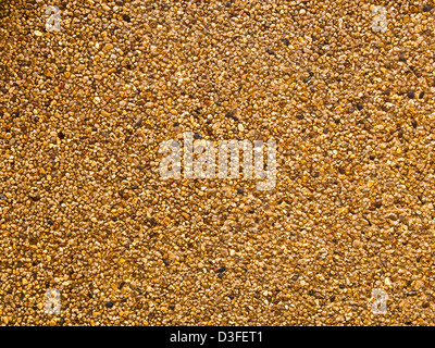 La texture de gravillons lavés comme arrière-plan Banque D'Images