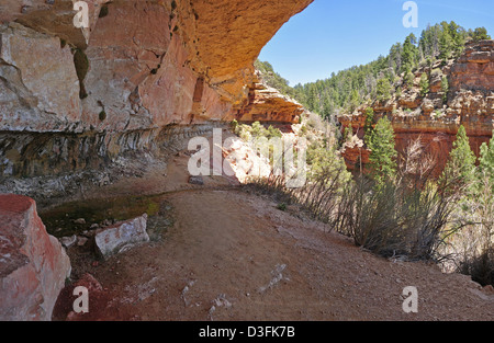 Grand Canyon Falaise ressorts (C) 0196 Banque D'Images