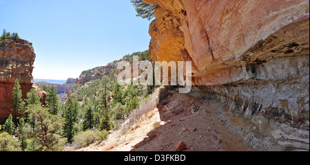 Grand Canyon Falaise ressorts (C) 0157 Banque D'Images