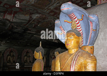 Muchalinda Cobra Hood au-dessus du seigneur Bouddha image à Maharajalena Dambulla Cave Temple, Banque D'Images