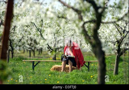 (Afp) - Une femme aime lire un livre sous un arbre dans le verger), Allemagne, le 2 mai 2003. Banque D'Images