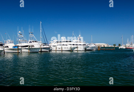 Marina de Key West, Key West, Floride, USA Banque D'Images