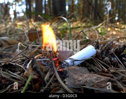 (Afp) - mise en scne Cette scne montre comment le feu peut facilement se  propager d'un mgot de cigarette jet-l, dans une fort prs de  Petersdorf, Allemagne, 15 avril 2003. En raison du temps sec en Allemagne,  de feuilles et de bois peuvent ...