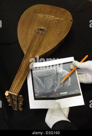 (Afp) - UN 400-year-old lute est photographié à côté de mains gantées tenant un crayon et une photo d'un scarabée prises par un microscope électronique, Leipzig, Allemagne de l'Est, 3 mars 2003. L'insecte vit à l'intérieur de l'ancien luth. L'instrument de musique historique vient du chœur de la cathédrale de Fribourg. Un total de 30 instruments de musique, dont certains sont signés, ont été trouvés sur une l Banque D'Images