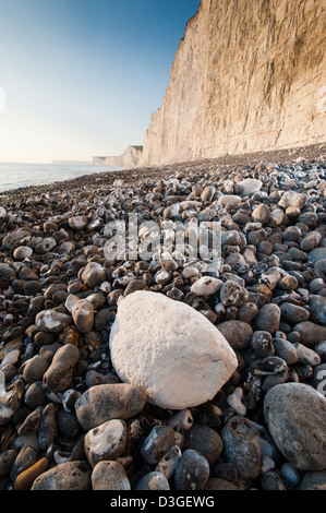 Vue rapprochée des rochers sur la plage, à Urrugne, sur la côte sud de l'Angleterre. Une partie du Parc National des South Downs. Banque D'Images