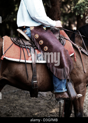 Wrangler Cowboy chaps en équitation de corral, Montana USA Banque D'Images