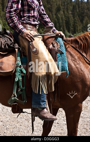 Wrangler Cowboy sur cheval en chaps, Montana, USA Banque D'Images