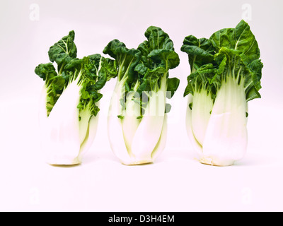 Bunch of fresh baby bok choy, Brassica rapa chinensis, isolé sur fond blanc Banque D'Images