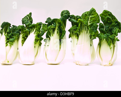 Bunch of fresh baby bok choy, Brassica rapa chinensis, isolé sur fond blanc Banque D'Images