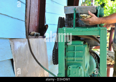 Presse de canne à sucre Manaca Iznaga, plantation, Sugar Mills Valley, Cuba Banque D'Images