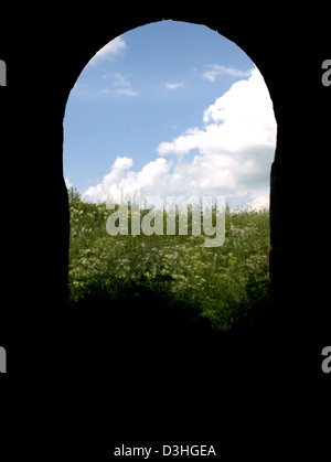 Ruines de l'ancienne Arménie ville d'Ani, près de Kars, est de la Turquie. Banque D'Images