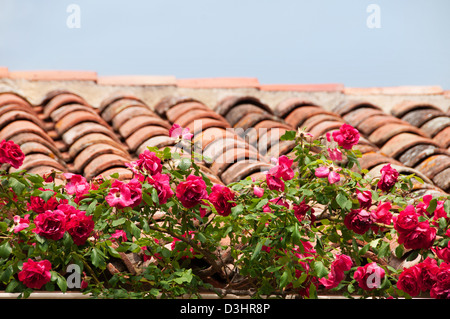 Charmant petit village de Tourette Var Provence France Banque D'Images