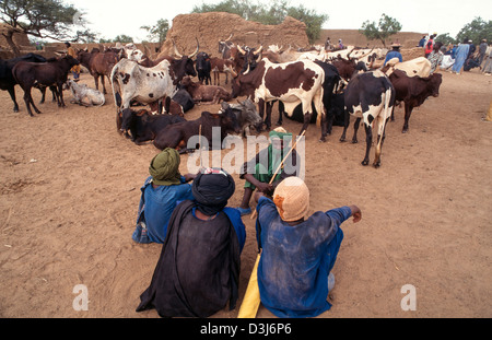 Tuareg tribesmen qui fait le passage en roue libre et traite un marché de bétail. Gorom Gorom, Burkina Faso. Banque D'Images