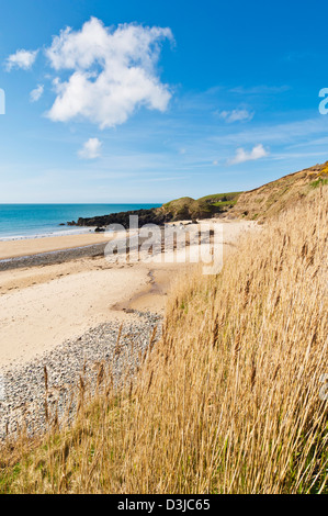 Plage de Porth Oer où le sable des sifflets en raison de la forme unique de la péninsule Llyn Lleyn grains de Gwynedd dans le Nord du Pays de Galles GO UK Banque D'Images