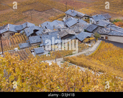 Vignoble, le Perrey, Martigny, Valais, Suisse Banque D'Images