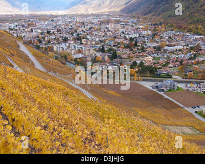 Vignoble, le Perrey, Martigny, Valais, Suisse Banque D'Images