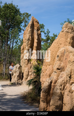 L'une des plus fascinantes attractions touristiques à Litchfield NP sont les termitières géantes, certains s'élevant à plus de 4m (13ft) NT Australie Banque D'Images