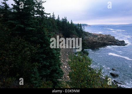 Elk282-2020, Maine Mount Desert Island, l'Acadia National Park, Park Loop Road, East Shore view Banque D'Images