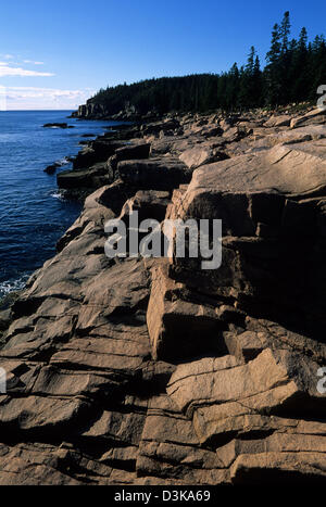 Elk282-2088v Maine, Mount Desert Island, l'Acadia National Park, Park Loop Road, East Shore côte à Sun Banque D'Images