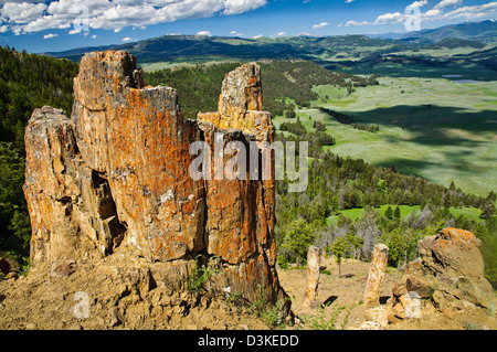 Forêt Pétrifiée, le Parc National de Yellowstone. Les troncs d'arbre fossilisés ancienne montrant avec la vallée de Lamary dans l'arrière-plan Banque D'Images