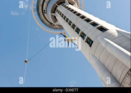 Femme base jumping off tower en Nouvelle-Zélande les sports d'aventure Sky jump style bungy jumping off cavalier Nouvelle-zélande fil de bâtiment Banque D'Images