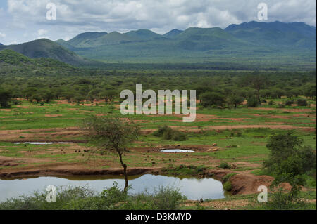 Chyulu hills, le parc national de Tsavo Ouest, au Kenya Banque D'Images