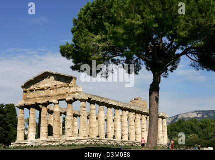 (Afp) - l'image montre les ruines de la temple de Ceres fin de 6e siècle avant J.-C. à Paestum dans la région de Campanie, Italie, 13 septembre 2005. Le temple était dédié à la déesse Athéna / Minerva. Photo : Matthias Schrader Banque D'Images