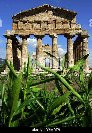 (Afp) - l'image montre les ruines de la temple de Ceres fin de 6e siècle avant J.-C. à Paestum dans la région de Campanie, Italie, 13 septembre 2005. Le temple était dédié à la déesse Athéna / Minerva. Photo : Matthias Schrader Banque D'Images