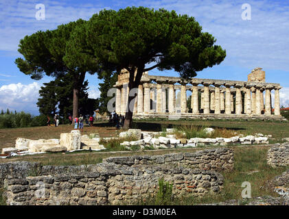 (Afp) - l'image montre les ruines de la temple de Ceres fin de 6e siècle avant J.-C. à Paestum dans la région de Campanie, Italie, 13 septembre 2005. Le temple était dédié à la déesse Athéna / Minerva. Photo : Matthias Schrader Banque D'Images