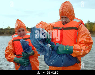 (Dpa) - Pompiers, vêtu de vêtements de protection, récupération possible matière contaminée dans des sacs en plastique bleu à une mine à ciel ouvert de gravier près de Neuwied dans l'état de Rhénanie-Palatinat en Allemagne, mardi, 25 octobre 2005. Plusieurs oiseaux migrateurs ont été trouvés morts dans le lac le lundi, 24 octobre 2005. Les cadavres d'oiseaux sont en cours d'examen pour l'oiseau les virus. Cependant, les résultats de Banque D'Images