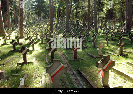 (Afp) - croix en pierre de commémorer les soldats polonais tués au combat durant la Première Guerre mondiale, à la cimetière militaire Antakalnis à Vilnius, Lituanie, 31 août 2005. Les tombes était déjà assez pris en charge pendant la période d'occupation Sovyet. Photo : Helmut Heuse Banque D'Images