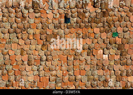 Texture background couleur Banque D'Images