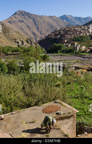 Femme berbère noix de séchage sur son toit avec la vallée et le village derrière elle, Village Aremd, près de l'Imlil, Maroc Banque D'Images