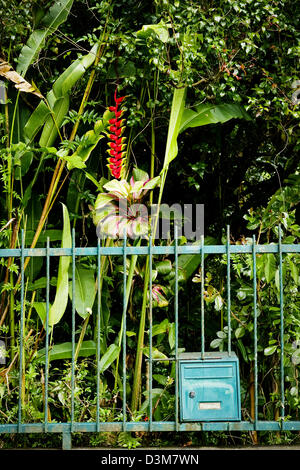 Le garde-corps avant d'une maison dans le Cirque de Salazie (rainforest) froid orné de postbox, île française de la Réunion, océan Indien Banque D'Images