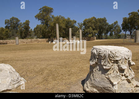 Rester de la basilique romaine, le parc national d'Ashkelon, Israël Banque D'Images