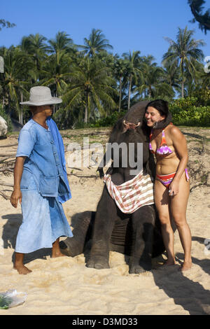 Woman cuddling baby éléphant asiatique sur Phuket Mai Khao Beach Banque D'Images