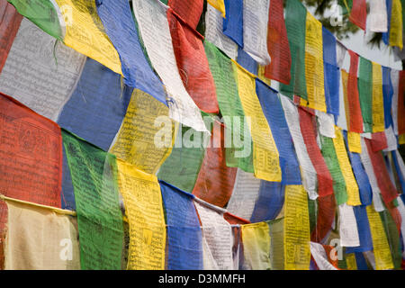 Les drapeaux de prières, au sommet d'une montagne surplombant la capitale de Thimphu, Bhoutan, Asie Banque D'Images