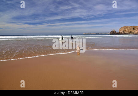 Le Portugal, l'Algarve : Surfers avec les conseils et le chien d'entrer dans l'eau à la plage de Praia do Tonel à Sagres Banque D'Images